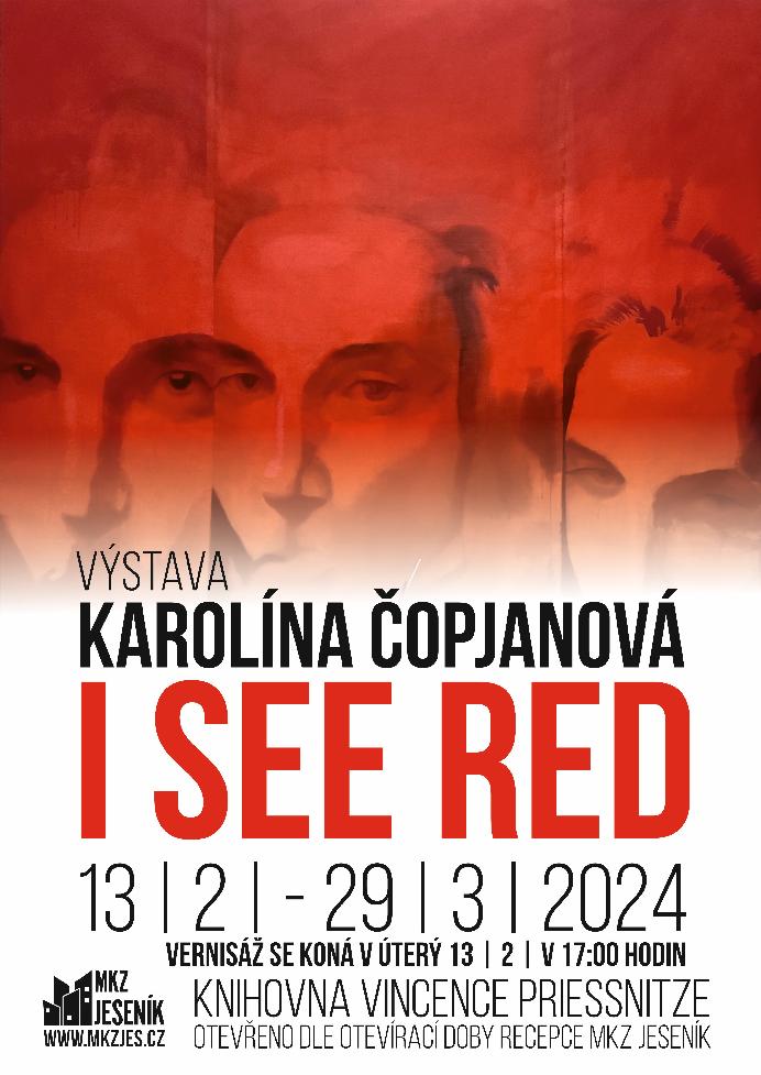 KAROLÍNA ČOPJANOVÁ - I SEE RED
