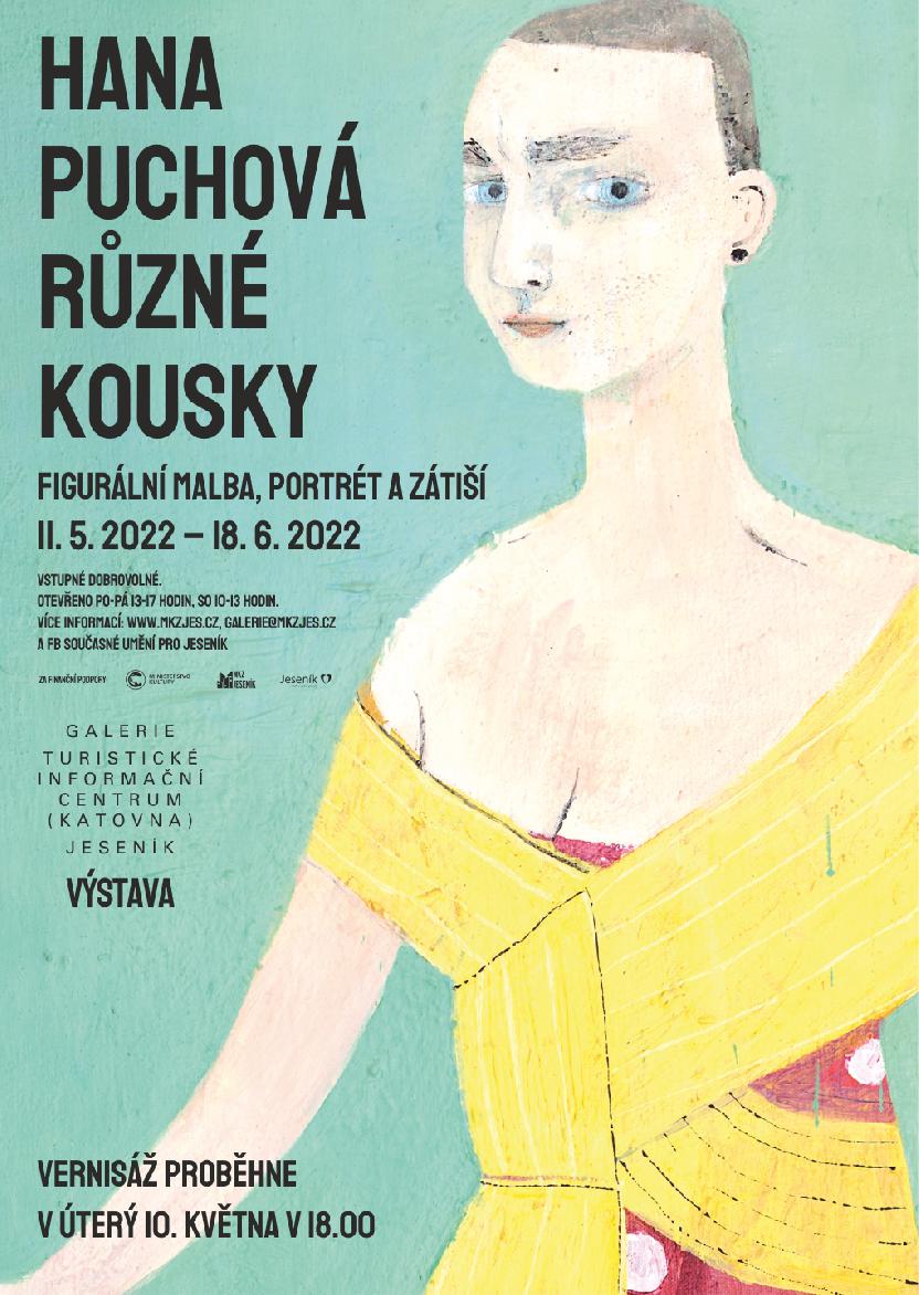 VERNISÁŽ VÝSTAVY HANY PUCHOVÉ: RŮZNÉ KOUSKY