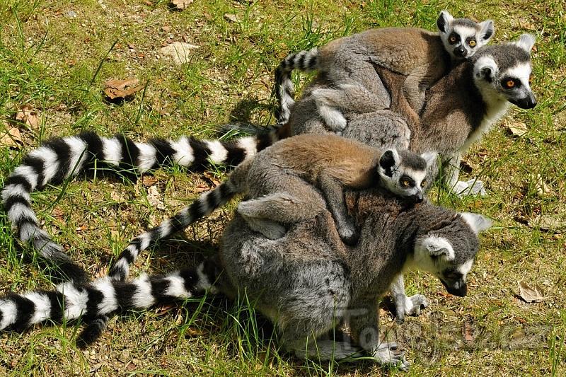 ZÁJEZD NA FLORU A DO ZOO OLOMOUC