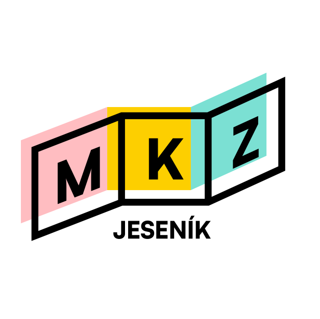 VÝBĚROVÉ ŘÍZENÍ: VEDOUCÍ KINA