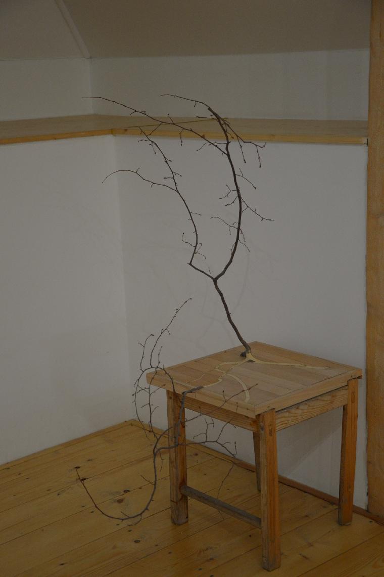 20073.JPG